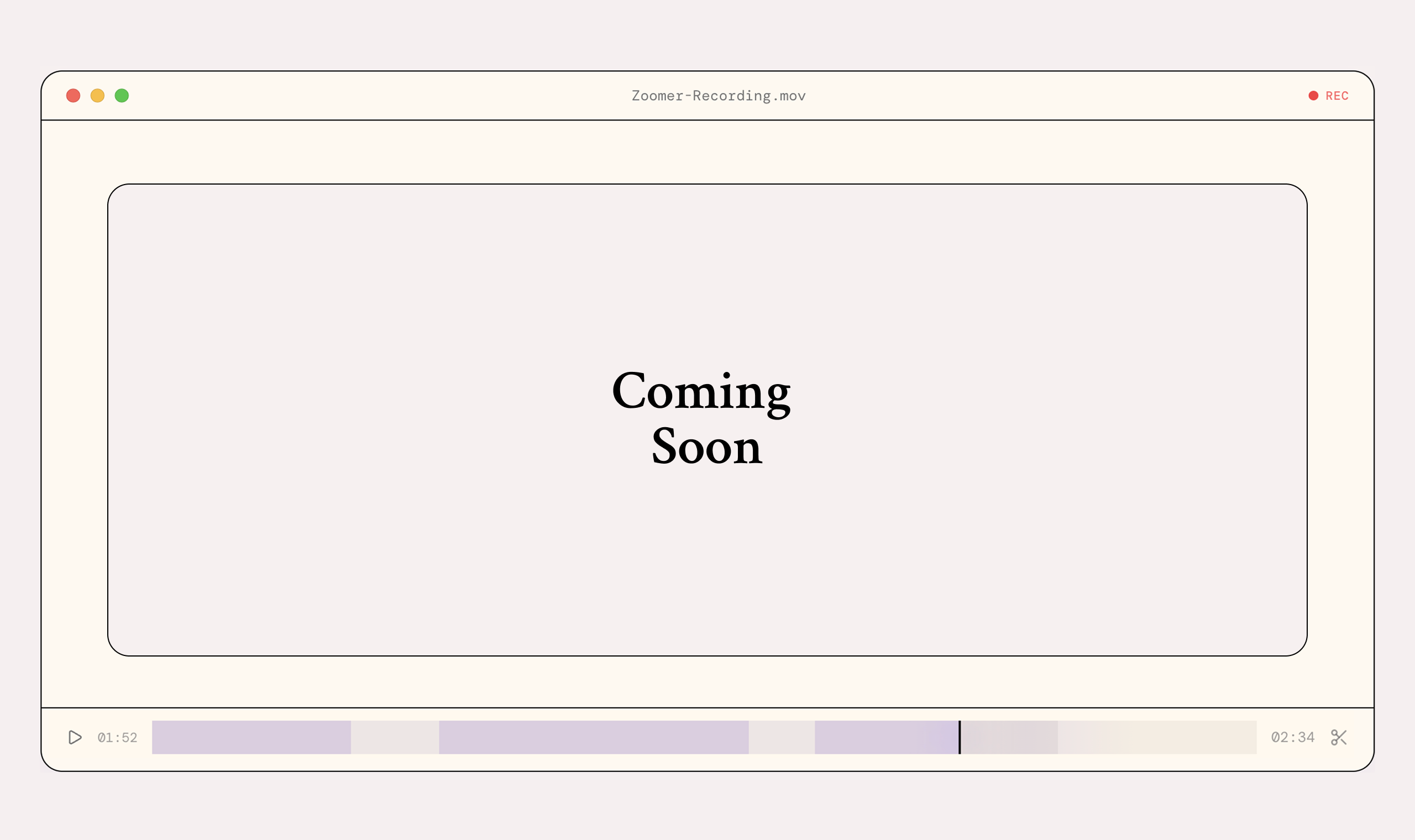 Zoomer desktop preview